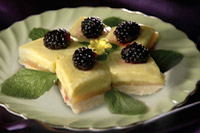 Frozen Lemon Lime Bites